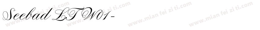 Seebad LT W01字体转换